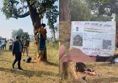 जंगल में पेड़ से लटका मिला युवती का शव, इलाके में फैली सनसनी, पुलिस जांच में जुटी