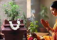 इस विधि से करें देवी तुलसी की पूजा, दूर होगी पैसों से जुड़ी सभी मुश्किलें