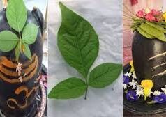 जल और बेल पत्र,भगवान शिव पर क्यों चढ़ाया जाता है जानें महत्व….