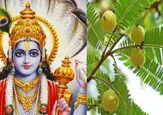 मार्च में कब कौन सी एकादशी है? जानें डेट, शुभ मुहूर्त और व्रत का महत्व….