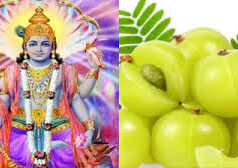 कल है आमलकी एकादशी, जानें पूजा का शुभ मुहूर्त, विधि और व्रत पारण का समय…