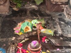 घटियारी महोत्सव एवं महाशिवरात्रि मेला का आयोजन…