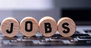 महासमुंद : युवाओं के लिए रोजगार का सुनहरा अवसर, 11 एवं 12 फरवरी को प्लेसमेंट कैम्प आयोजित