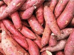 आलू या फिर शकरकंद…ब्लड शुगर में कौन है सबसे ज्यादा फायदेमंद?