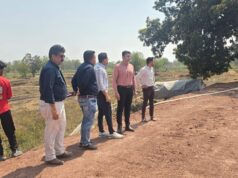 कलेक्टर ने टिनमिनी जलाशय के जीर्णोद्धार कार्य का किया निरीक्षण