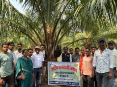 छत्तीसगढ़ के किसानों ने ओडिशा में देखी ऑयल पाम की खेती