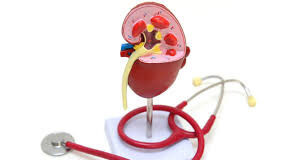 शरीर में सूजन होना क्या किडनी की खराबी का संकेत है?