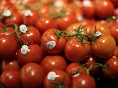 टमाटर-प्याज या सोना-चांदी किसकी वजह से बढ़ रही है महंगाई, RBI ने बताया कारण…