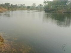 मोर गांव मोर पानी अभियान से 45 परिवारों की जिंदगी में आया बड़ा बदलाव