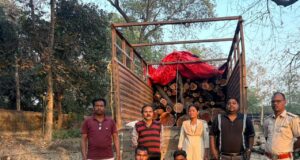 वन विभाग रायगढ़ ने अवैध तस्करी का किया भंडाफोड़, भारी मात्रा में खैर लकड़ी बरामद