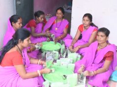 इस बार प्राकृतिक रंगों से रंगीन होगी होली : स्व सहायता समूह की महिलाएं कर रही है प्राकृतिक गुलाल का निर्माण