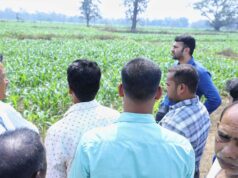 किसानों की आय वृद्धि के लिए कलेक्टर ने कृषि विभाग को वैकल्पिक फसलों हेतु ठोस कार्ययोजना तैयार करने के दिए निर्देश