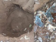 कांकेर-नारायणपुर सीमा पर सुरक्षाबलों ने नक्सलियों के नापाक मंसूबो पर फेरा पानी, प्रेशर IED बरामद कर किया नष्ट