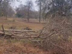 सड़क निर्माण में अनियमितता का आरोप, ग्रामीणों ने खोला मोर्चा