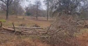 सड़क निर्माण में अनियमितता का आरोप, ग्रामीणों ने खोला मोर्चा