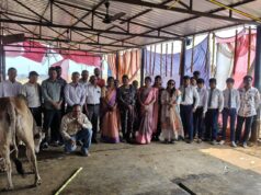 खरोरा में शिक्षकों द्वारा गौ सेवा हेतु सराहनीय पहल, गौधाम में कराया पौष्टिक चारे का प्रबंध