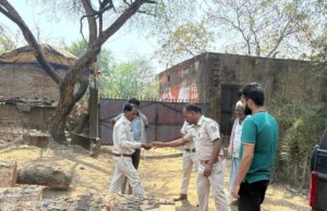 वन विभाग की बड़ी कार्रवाई, कुसमुरा के उमाशंकर सॉ मिल को किया गया सील