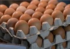 यूपी में हर अंडे पर एक्सपायरी डेट अनिवार्य,1 अप्रैल से बदलेंगे अंडा बिक्री के नियम…