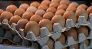 यूपी में हर अंडे पर एक्सपायरी डेट अनिवार्य,1 अप्रैल से बदलेंगे अंडा बिक्री के नियम…
