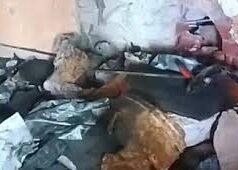 शादी घर में सिलेंडर ब्लास्ट से तबाही, 20 लाख का सामान जलकर खाक