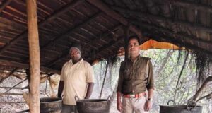 होली से पहले आबकारी विभाग की बड़ी कार्रवाई : 15 प्रकरणों में 235 लीटर महुआ शराब जब्त, कई आरोपी जेल भेजे गए