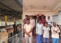 मुखबिर की सूचना पर बीजापुर पुलिस की बड़ी कार्रवाई, 9 पशु तस्कर गिरफ्तार, मुक्त कराए गए 171 मवेशी