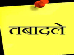 थोक में पटवारियों के तबादले, कलेक्टर ने जारी किया आदेश