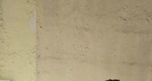 रायगढ़ में “ऑपरेशन अंकुश” के तहत सट्टा पर कार्रवाई, रेलवे बंगलापारा व बेलादुला में सट्टा के साथ 3 आरोपी गिरफ्तार