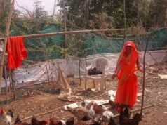 बिहान योजना से बदली कुमुद बाई की जिंदगी, मुर्गीपालन और गौपालन से बनी आत्मनिर्भर