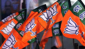 भाजपा प्रदेश मीडिया टीम की घोषणा, सहसंयोजक, प्रवक्ता और पैनलिस्ट नियुक्त, देखें लिस्ट…