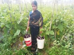 बिहान से बदली ममता की जिंदगी:सब्जी की खेती से ममता बनी आत्मनिर्भर