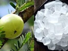 आंवला-मिश्री का कमाल: सेहत के लिए फायदेमंद ये कॉम्बिनेशन, जानें इस्तेमाल का सही तरीका