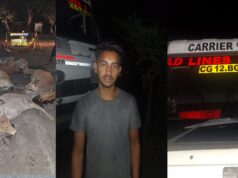 छत्तीसगढ़ में बड़ा हादसा, हाईवा की चपेट में आए 12 मवेशी, मौके पर मौत