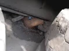 3 की मौत, कोरबा में तेज रफ्तार ट्रक का कहर, रौंदा