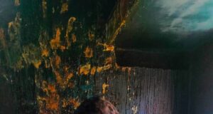 होटलों में घरेलू गैस सिलेंडर के दुरुपयोग पर खाद्य विभाग की सख्त कार्रवाई, दो प्रतिष्ठानों से सिलेंडर जब्त