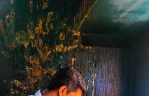 होटलों में घरेलू गैस सिलेंडर के दुरुपयोग पर खाद्य विभाग की सख्त कार्रवाई, दो प्रतिष्ठानों से सिलेंडर जब्त