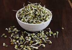 सुबह अंकुरित मूंग खाने के क्या है फायदे जानें एक्सपर्ट से….