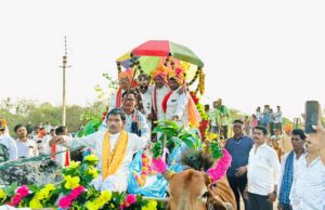 बैलगाड़ी पर सवार होकर बारात पहुंचे राजिम विधायक रोहित साहू