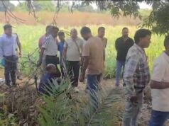 रायगढ़: तमनार में अवैध अफ़ीम की खेती का भंडाफोड़, मुख्य आरोपी हिरासत में,कड़ी पूछताछ जारी