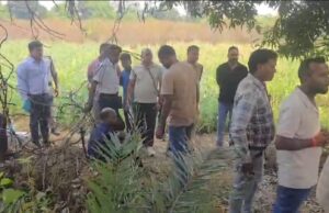 रायगढ़: तमनार में अवैध अफ़ीम की खेती का भंडाफोड़, मुख्य आरोपी हिरासत में,कड़ी पूछताछ जारी