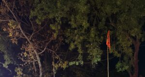 रामराज परिवार द्वारा निकाली गई भव्य शोभायात्रा,,मुस्लिम समाज ने किया जोरदार स्वागत