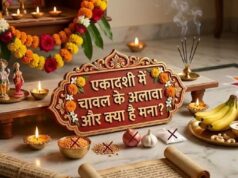 एकादशी पर ये गलती पड़ सकती है भारी, इन चीजों से बनाएं दूरी