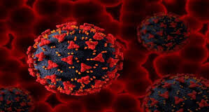 कोरोना ने दी दस्तक: ‘सिकाडा’ वेरिएंट के बढ़ते मामलों से हड़कंप