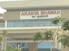 वन विभाग में प्रशासनिक बदलाव, IFS अधिकारियों को मिले नए प्रभार