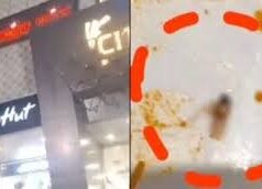 बर्थडे पार्टी के दौरान बिरयानी में निकाला कॉकरोच, जांच के बाद रेस्टोरेंट बंद…