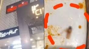 बर्थडे पार्टी के दौरान बिरयानी में निकाला कॉकरोच, जांच के बाद रेस्टोरेंट बंद…