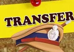 यातायात पुलिस निरीक्षकों का तबादला, देखें लिस्ट…