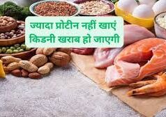 ज्यादा प्रोटीन खाना किडनी को कर देता है खराब? जानें एक्सपर्ट्स से…..