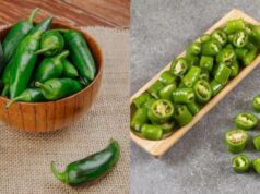 हरी मिर्च में भी होता है विटामिन? जानिए ग्रीन चिली के सेहत पर असर