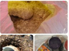 अन्नापुर के जंगलों में माओवादियों का विस्फोटक डम्प बरामद, सुरक्षाबलों ने मौके पर किया नष्ट…